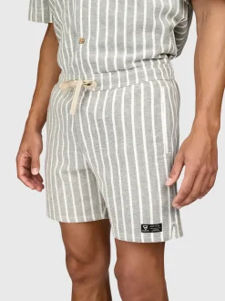 Aiden-Stripe Heren Walk Shorts | Snow