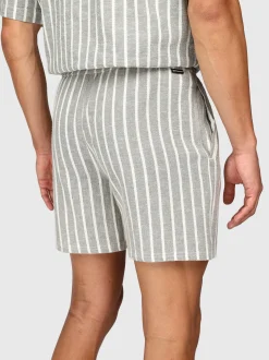 Aiden-Stripe Heren Walk Shorts | Snow