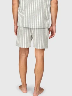 Aiden-Stripe Heren Walk Shorts | Snow