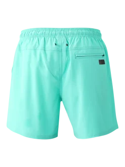 Bru-conic Men Swim Shorts | Carribean Green