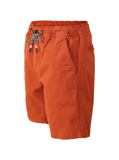Carlos Men Walkshorts | Arabian Spice