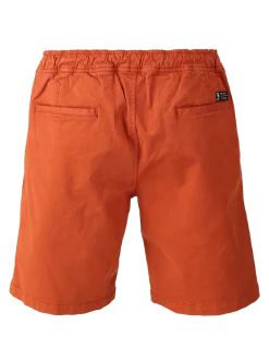 Carlos Men Walkshorts | Arabian Spice