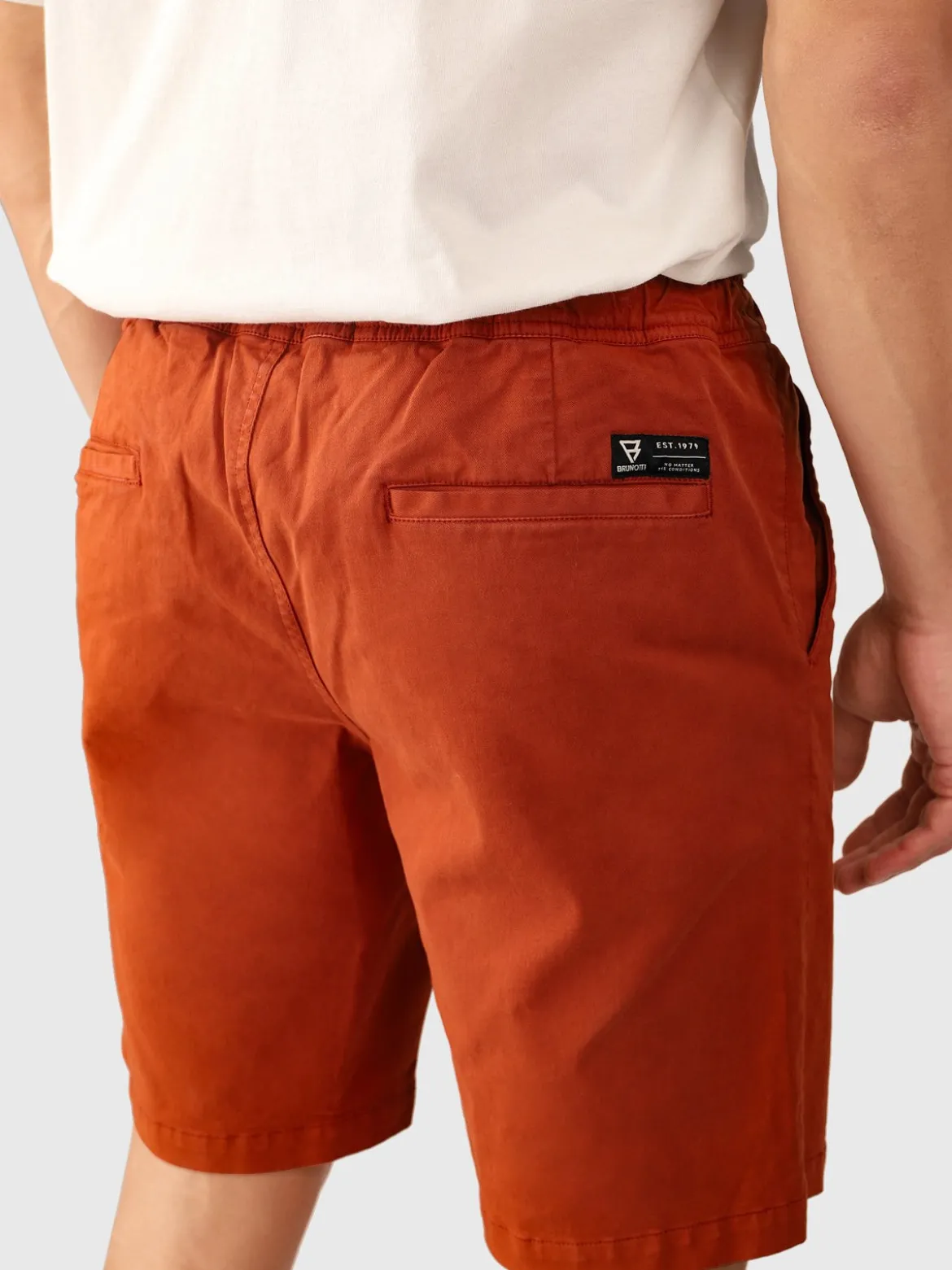 Carlos Men Walkshorts | Arabian Spice