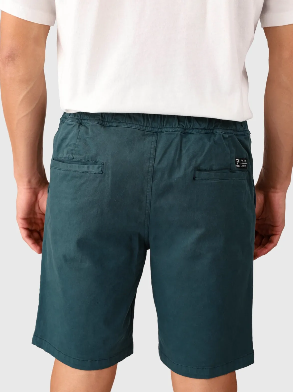 Carlos Men Walkshorts | Fuel Green