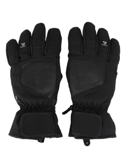 Radiance Heren Ski Handschoenen | Zwart