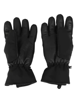 Radiance Heren Ski Handschoenen | Zwart
