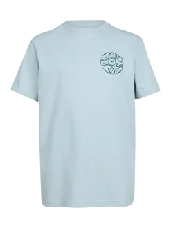 Sizzley Jongens T-shirt | Mist