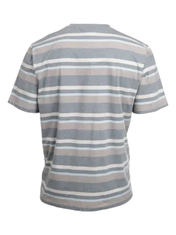 Steffin Heren T-shirt | Strepen