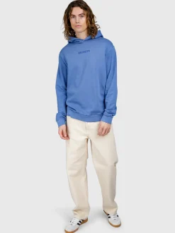 Steyn Heren Hoodie | Grayblue