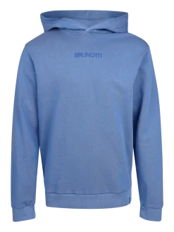Steyn Heren Hoodie | Grayblue
