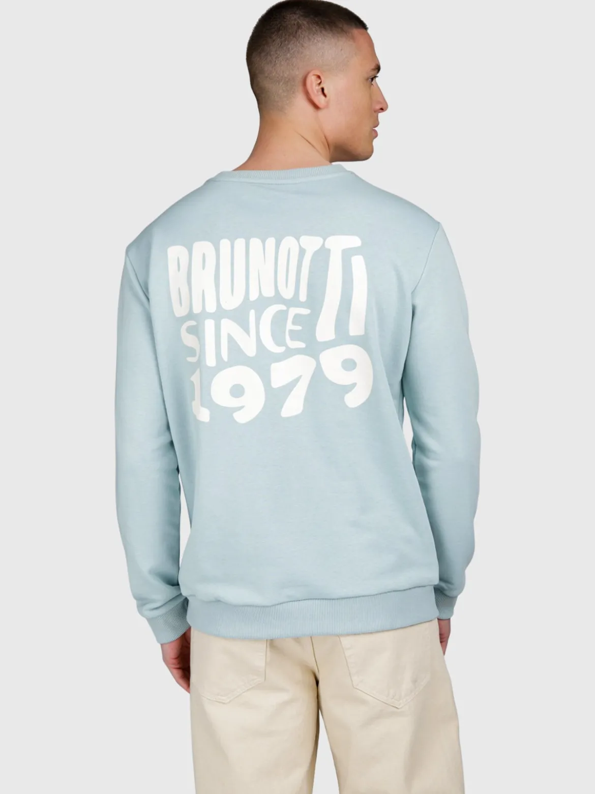 Vito Heren Sweater | Mist